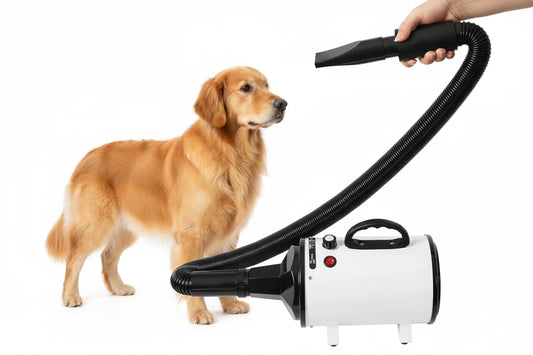 Secador Profesional para Mascotas 2800W – Soplador de Grooming Ultra Silencioso para Perros y Gatos